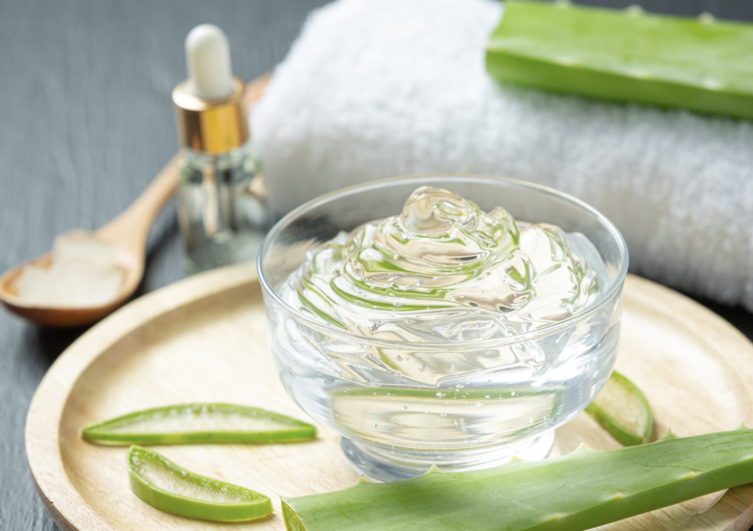 Aloe Vera plant